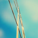 Abstract Business Soft Backgrounds